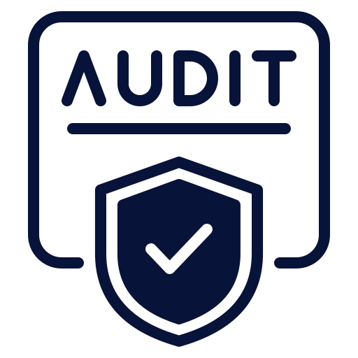 audit (1)